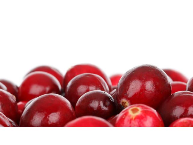 CANDICIS